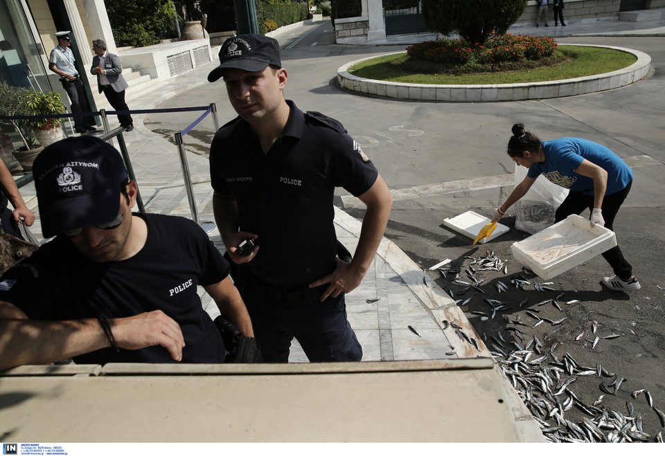 Το ΠΑΜΕ πέταξε... σαρδέλες στη Βουλή -Αντίδραση στα υπό ψήφιση νέα μέτρα [εικόνες] | iefimerida.gr 1