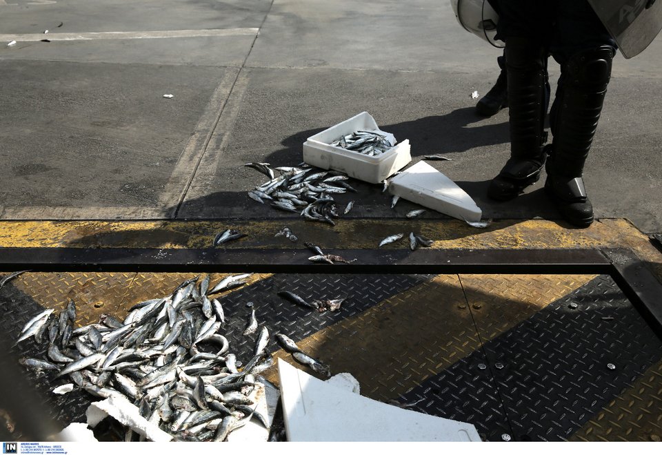 Το ΠΑΜΕ πέταξε... σαρδέλες στη Βουλή -Αντίδραση στα υπό ψήφιση νέα μέτρα [εικόνες] | iefimerida.gr 2