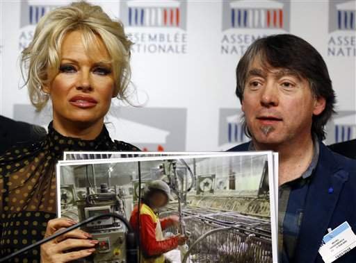 Η σιθρού μπλούζα της Πάμελα Αντερσον που σκανδάλισε τους Γάλλους βουλευτές [εικόνες] | iefimerida.gr 1