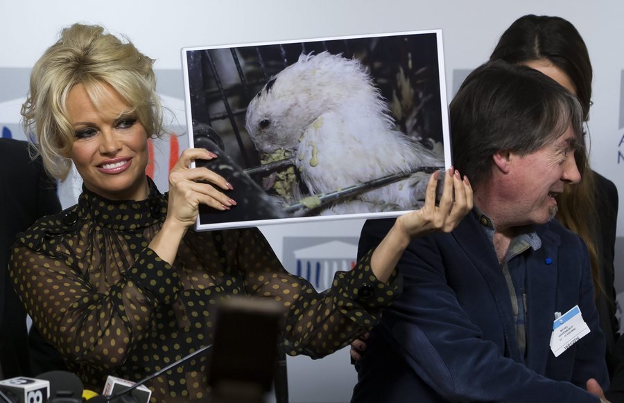 Η σιθρού μπλούζα της Πάμελα Αντερσον που σκανδάλισε τους Γάλλους βουλευτές [εικόνες] | iefimerida.gr 4