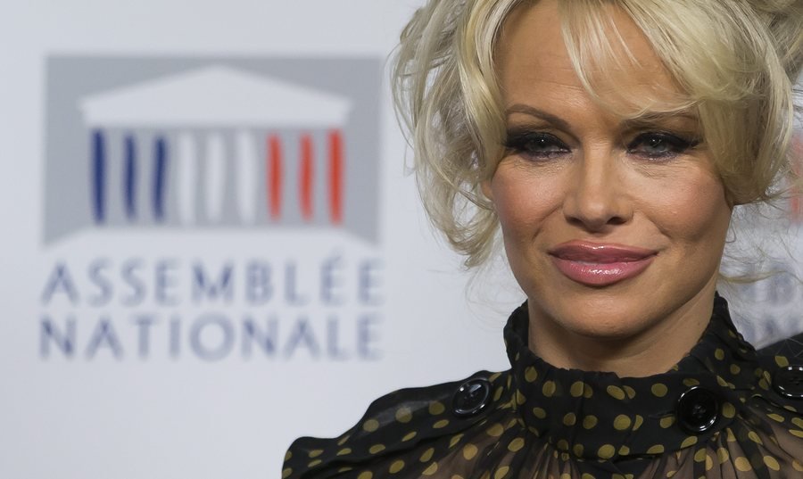 Η σιθρού μπλούζα της Πάμελα Αντερσον που σκανδάλισε τους Γάλλους βουλευτές [εικόνες] | iefimerida.gr 6