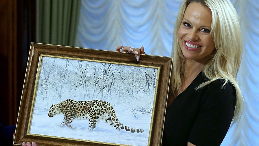 Η Πάμελα Αντερσον πήγε στο Κρεμλίνο -«Χάζεψε» το δεξί χέρι του Πούτιν με την ηθοποιό [εικόνες] | iefimerida.gr 3