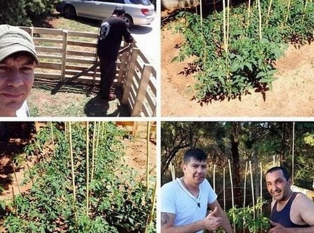 Πρώην ποδοσφαιριστής γίνεται... αγρότης από χόμπι [εικόνες] | iefimerida.gr 0