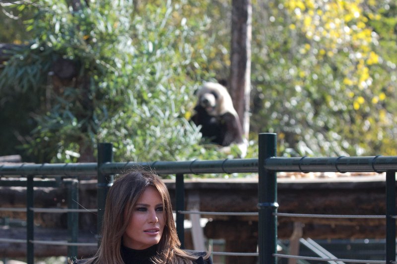 Αρκούδα Πάντα κάνει photobombing σε φωτογραφίες της Μελάνια Τραμπ - Εγινε viral [εικόνες] | iefimerida.gr 2