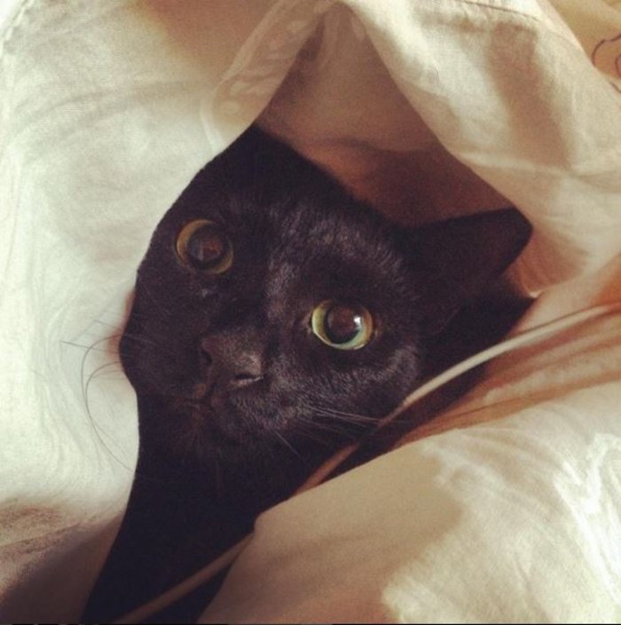 Ο Χριστόφορος Παπακαλιάτης δείχνει το σπίτι του στο Ιnstagram [εικόνες] | iefimerida.gr 2