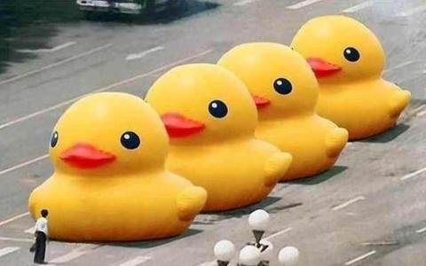 Πώς μια φωτογραφία με ένα φουσκωτό παπάκι γίνεται αιτία «πολέμου» για την κυβέρνηση της Κίνας [εικόνες] | iefimerida.gr 0