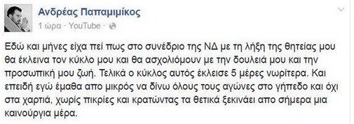 Παπαμιμίκος: Αφήνω την πολιτική, θα ξανασχοληθώ με τη δουλειά μου | iefimerida.gr 0