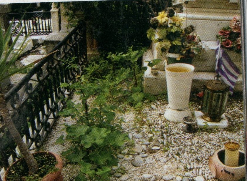 H μετά θάνατον εγκατάλειψη του Δημήτρη Παπαμιχαήλ [εικόνες] | iefimerida.gr 1