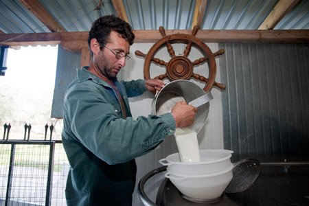 Ελληνες που αγνοούν την κρίση: Η περίπτωση του οικονομολόγου Παναγιώτη Παπανικολάου που έκανε τυροκομείο με βραβεία [εικόνες] | iefimerida.gr 0