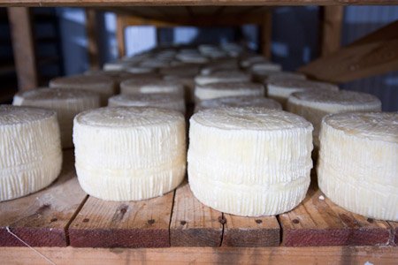 Ελληνες που αγνοούν την κρίση: Η περίπτωση του οικονομολόγου Παναγιώτη Παπανικολάου που έκανε τυροκομείο με βραβεία [εικόνες] | iefimerida.gr 3