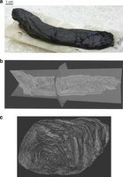 Αρχαιοελληνικοί πάπυροι καμένοι από την έκρηξη του Βεζούβιου το 79 μ.Χ. διαβάστηκαν για πρώτη φορά [εικόνες] | iefimerida.gr 1