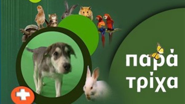 Ποια δημοφιλής εκπομπή του ΣΚΑΪ αποχαιρετά το τηλεοπτικό κοινό | iefimerida.gr 0