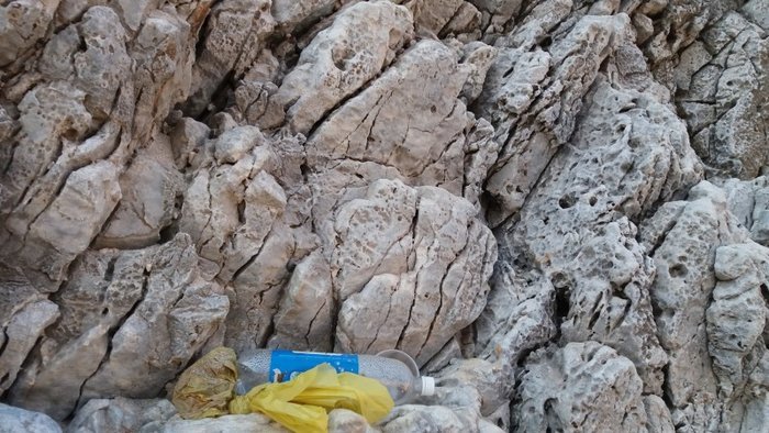 Εικόνες ντροπής σε μια από τις ομορφότερες, εξωτικές, παραλίες της Κρήτης [εικόνες] | iefimerida.gr 1