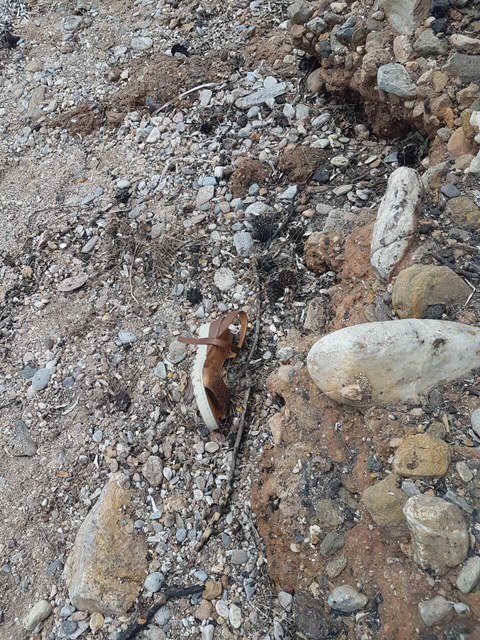 Η παραλία στο Μάτι με τις σαγιονάρες και τα παπούτσια -Από εκεί έπεσαν μαζικά στη θάλασσα για να σωθούν [εικόνες] | iefimerida.gr 11