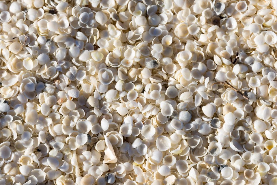 Η μαγεία της φύσης: Αυτές είναι οι 10 πιο ασυνήθιστες παραλίες στον κόσμο [εικόνες] | iefimerida.gr 4