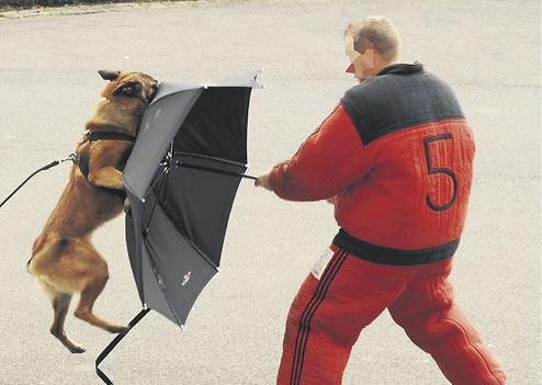 ParaPactum, η θωρακισμένη ομπρέλα που προστατεύει τον Ολάντ από πέτρες, οξύ και σφαίρες [εικόνες] | iefimerida.gr 4