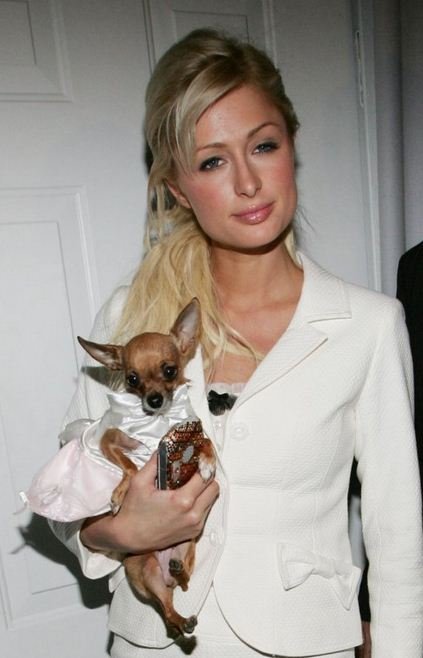 Celebrities που μοιάζουν με τα σκυλιά τους [εικόνες] | iefimerida.gr 2