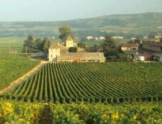 Γιατί δεν παχαίνουν οι Γαλλίδες με τόσα κρουασάν και τυριά [εικόνες] | iefimerida.gr 6