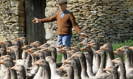 Γιατί δεν παχαίνουν οι Γαλλίδες με τόσα κρουασάν και τυριά [εικόνες] | iefimerida.gr 12