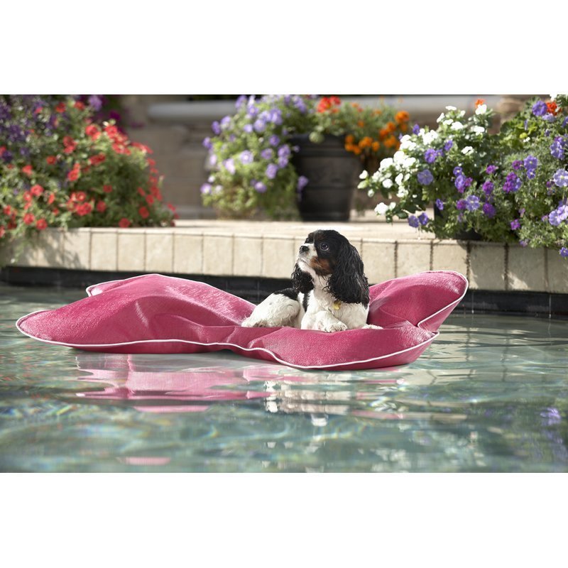 Η Πάρις Χίλτον έχει ειδική βίλα για τα σκυλιά της [εικόνες] | iefimerida.gr 6