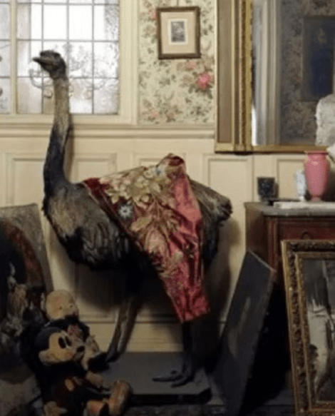 Ταξίδι στο χρόνο σε ένα διαμέρισμα ανέπαφο για πάνω από 70 χρόνια [εικόνες] | iefimerida.gr 4