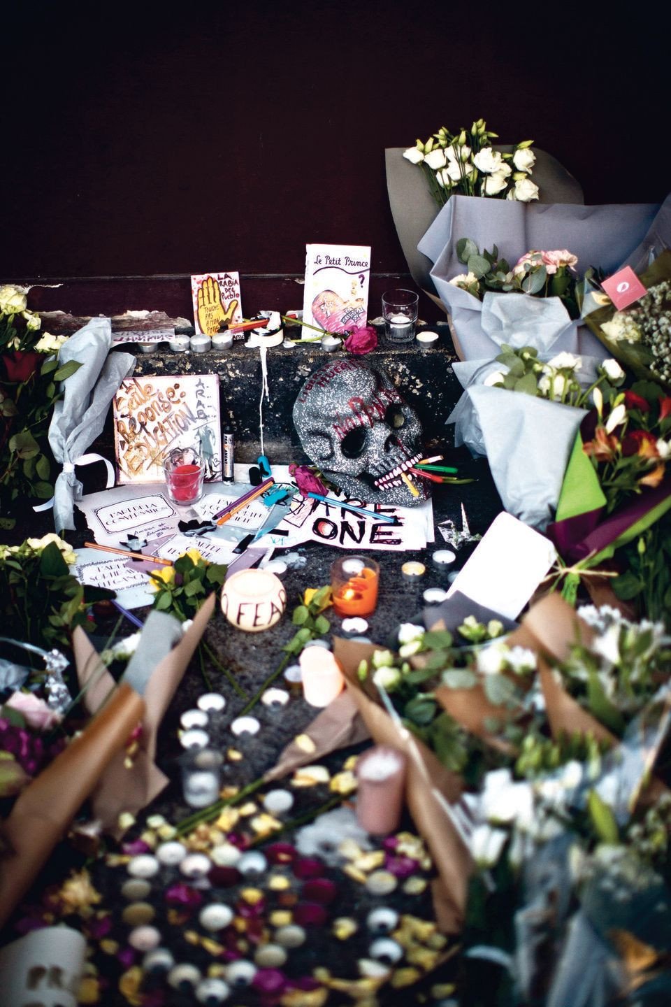 Η Γαλλία τιμά τους 130 νεκρούς των τρομοκρατικών επιθέσεων -Μια γαλλική σημαία σε κάθε σπίτι [εικόνες] | iefimerida.gr 7