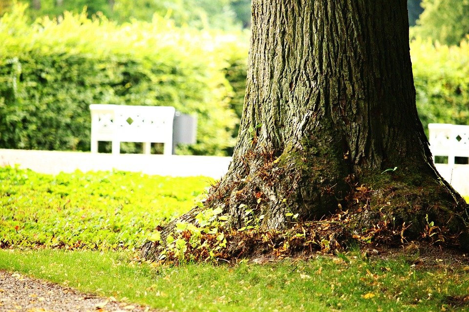 Πολίτες αξιολογούν τα πάρκα της περιοχής τους -Καλαμάτα, Πετρούπολη, στην κορυφή [λίστα]  | iefimerida.gr 1