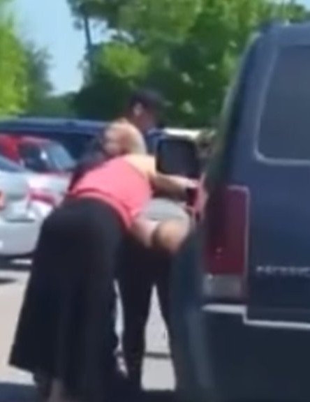 Μαλλί με μαλλί για μια θέση πάρκινγκ -Τρομερός τσακωμός σε ζωολογικό κήπο [εικόνες & βίντεο] | iefimerida.gr 0