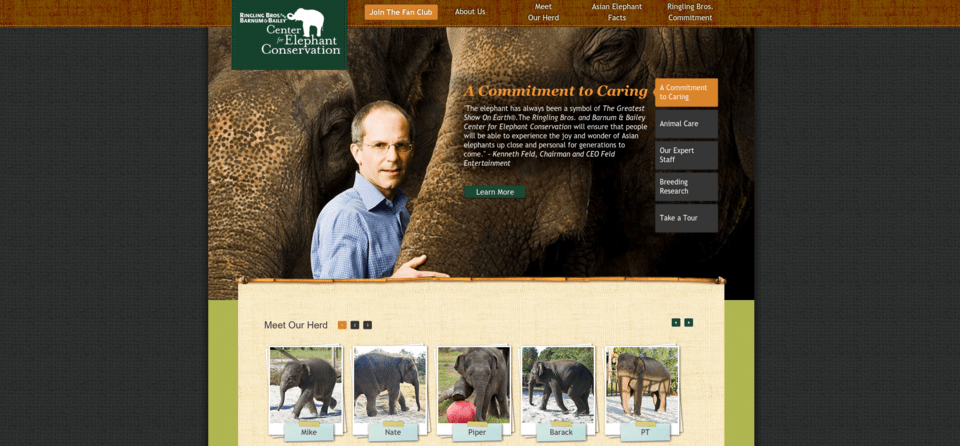 Τι γίνονται οι ελέφαντες του τσίρκου όταν γεράσουν [εικόνες] | iefimerida.gr 5