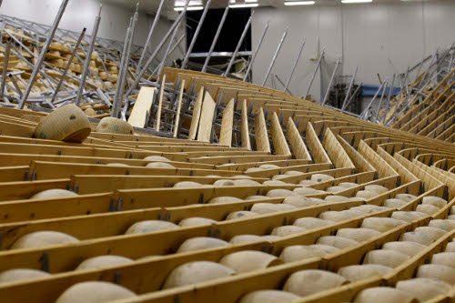 Σοβαρές καταγγελίες για τα πιο διάσημα ιταλικά τυριά -Παράγονται από σκελετωμένες αγελάδες; [εικόνες] | iefimerida.gr 4