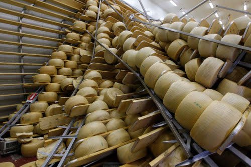 Σοβαρές καταγγελίες για τα πιο διάσημα ιταλικά τυριά -Παράγονται από σκελετωμένες αγελάδες; [εικόνες] | iefimerida.gr 5
