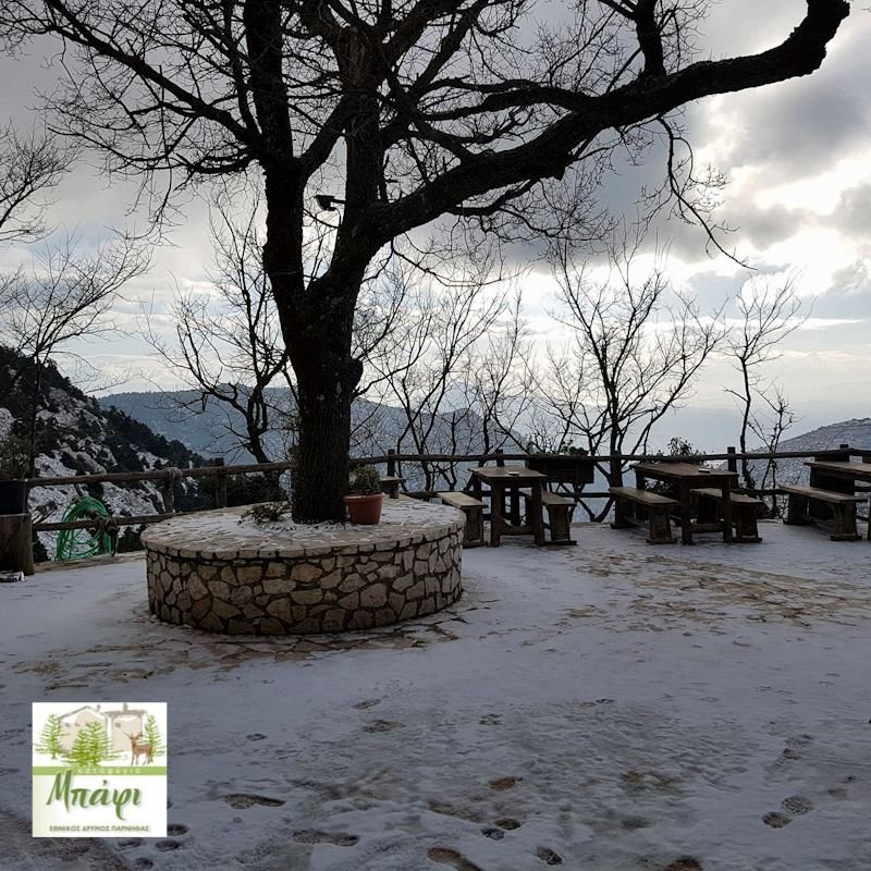 Επιτέλους χιόνι στην Αττική -Το έστρωσε στην Πάρνηθα [εικόνες & βίντεο] | iefimerida.gr 0