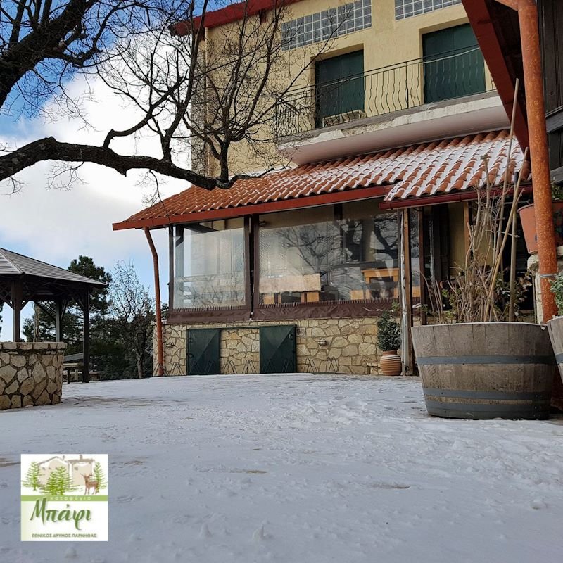 Επιτέλους χιόνι στην Αττική -Το έστρωσε στην Πάρνηθα [εικόνες & βίντεο] | iefimerida.gr 1