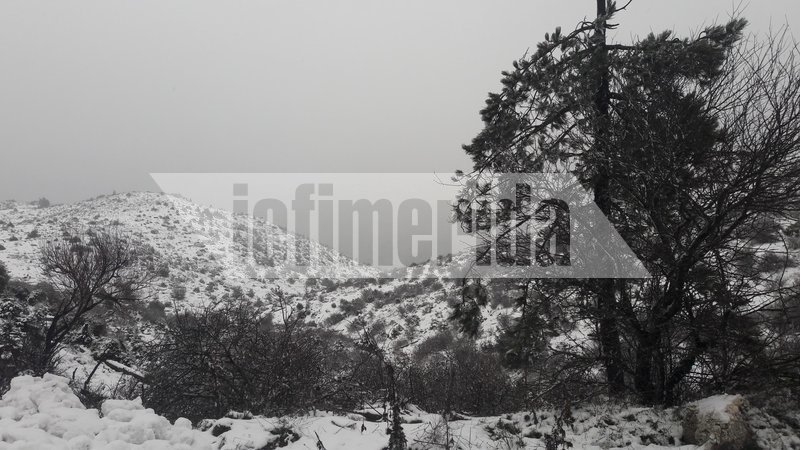 Στα λευκά το βουνό της Αττικής