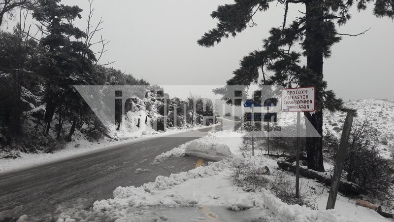 Χιόνιζε όλη νύχτα στο βουνό