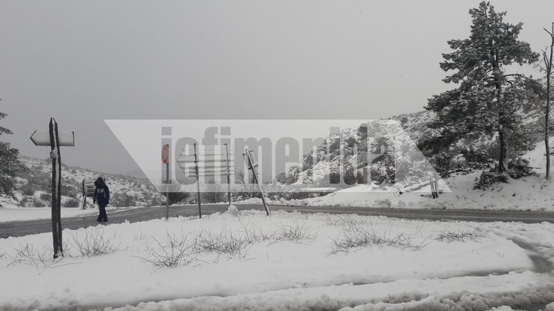 Και επίσημα χειμώνας -Χιονισμένη η Πάρνηθα, ντύθηκε στα λευκά [εικόνες] | iefimerida.gr 4