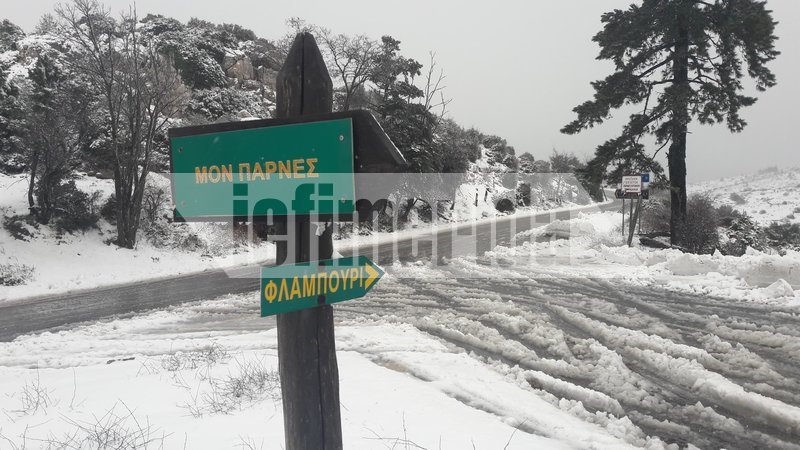 Και επίσημα χειμώνας -Χιονισμένη η Πάρνηθα, ντύθηκε στα λευκά [εικόνες] | iefimerida.gr 5