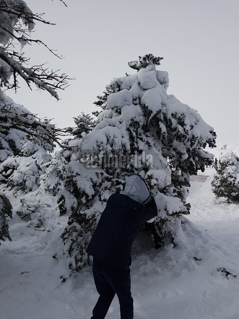 Πολλοί έσπευσαν να παίξουν... χιονοπόλεμο