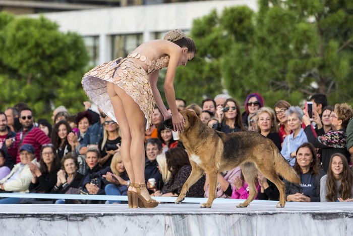 Συνέβη σε επίδειξη στη Θεσσαλονίκη: Μοντέλο σκύβει και γίνεται... η αποκάλυψη [εικόνες] | iefimerida.gr 4