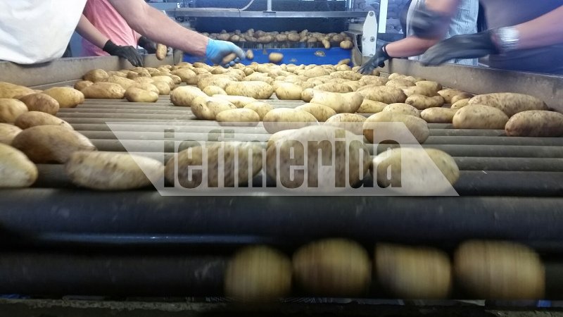 Νάξος: Πυρετώδεις προετοιμασίες για την κατάρριψη του ρεκόρ Γκίνες [εικόνες] | iefimerida.gr 0