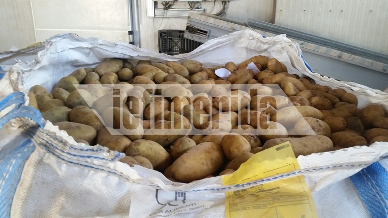 Νάξος: Πυρετώδεις προετοιμασίες για την κατάρριψη του ρεκόρ Γκίνες [εικόνες] | iefimerida.gr 3