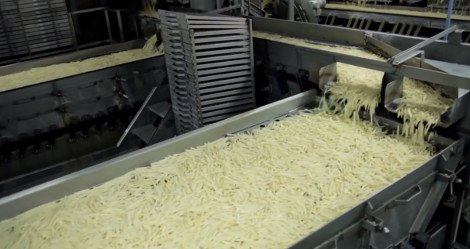 Καρέ-καρέ πώς φτιάχνεται το πιο φημισμένο... πιάτο των McDonald's -Οι τηγανιτές πατάτες [εικόνες] | iefimerida.gr 9