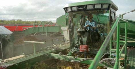 Καρέ-καρέ πώς φτιάχνεται το πιο φημισμένο... πιάτο των McDonald's -Οι τηγανιτές πατάτες [εικόνες] | iefimerida.gr 1