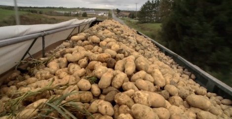 Καρέ-καρέ πώς φτιάχνεται το πιο φημισμένο... πιάτο των McDonald's -Οι τηγανιτές πατάτες [εικόνες] | iefimerida.gr 2