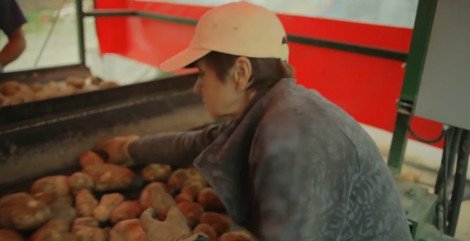 Καρέ-καρέ πώς φτιάχνεται το πιο φημισμένο... πιάτο των McDonald's -Οι τηγανιτές πατάτες [εικόνες] | iefimerida.gr 3