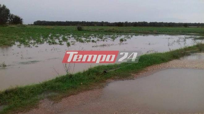 Ανυπολόγιστες καταστροφές από την κακοκαιρία στις καλλιέργειες της δυτικής Αχαΐας [εικόνες] | iefimerida.gr 0