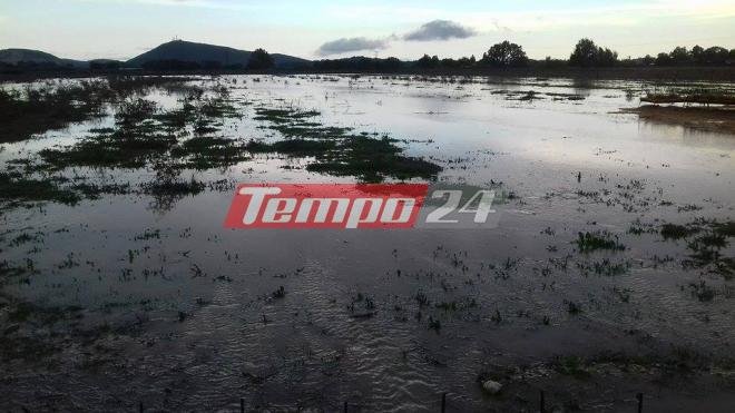 Ανυπολόγιστες καταστροφές από την κακοκαιρία στις καλλιέργειες της δυτικής Αχαΐας [εικόνες] | iefimerida.gr 1