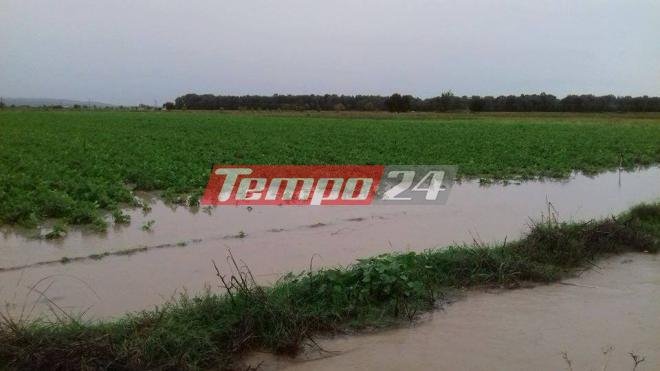 Ανυπολόγιστες καταστροφές από την κακοκαιρία στις καλλιέργειες της δυτικής Αχαΐας [εικόνες] | iefimerida.gr 2