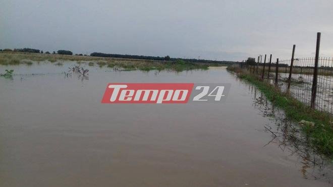 Ανυπολόγιστες καταστροφές από την κακοκαιρία στις καλλιέργειες της δυτικής Αχαΐας [εικόνες] | iefimerida.gr 3