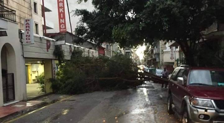 Καταστροφές από την κακοκαιρία στην Πάτρα -Ξεριζώθηκαν δέντρα, καταπλάκωσαν αυτοκίνητα [εικόνες] | iefimerida.gr 0